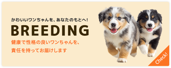 バナー