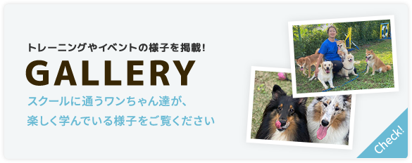 バナー